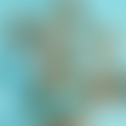 50 Things to do when you're bored!