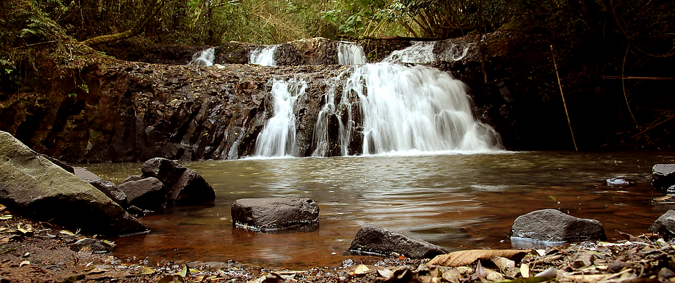 O mais importante dos tesouros é a natureza!