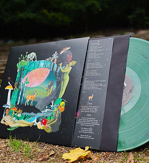 Danefae Vinyl.jpeg