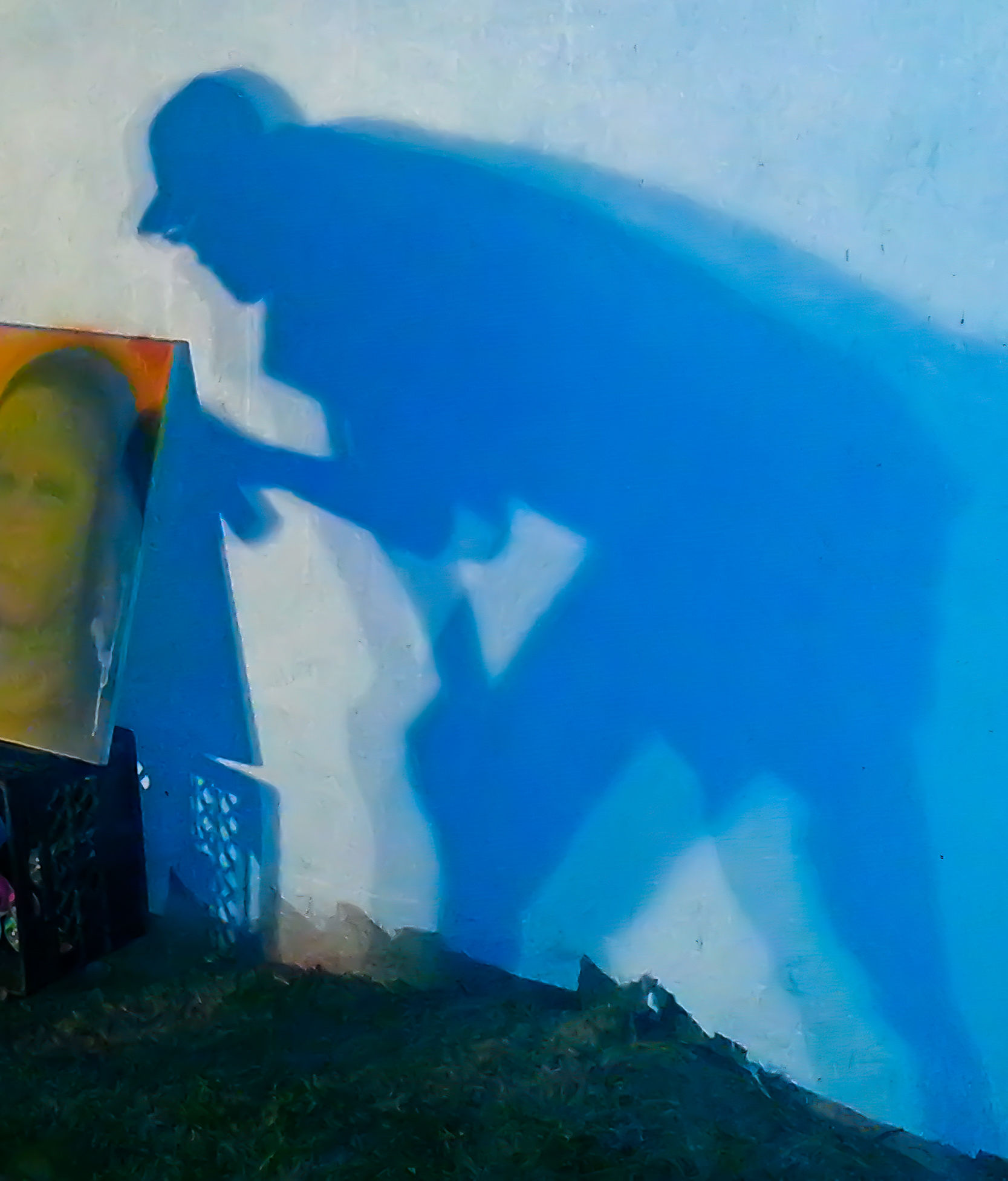 Shadow Madonna