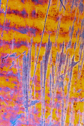 Orange and purple surface with sharp vertical scratches and textured abrasion marks