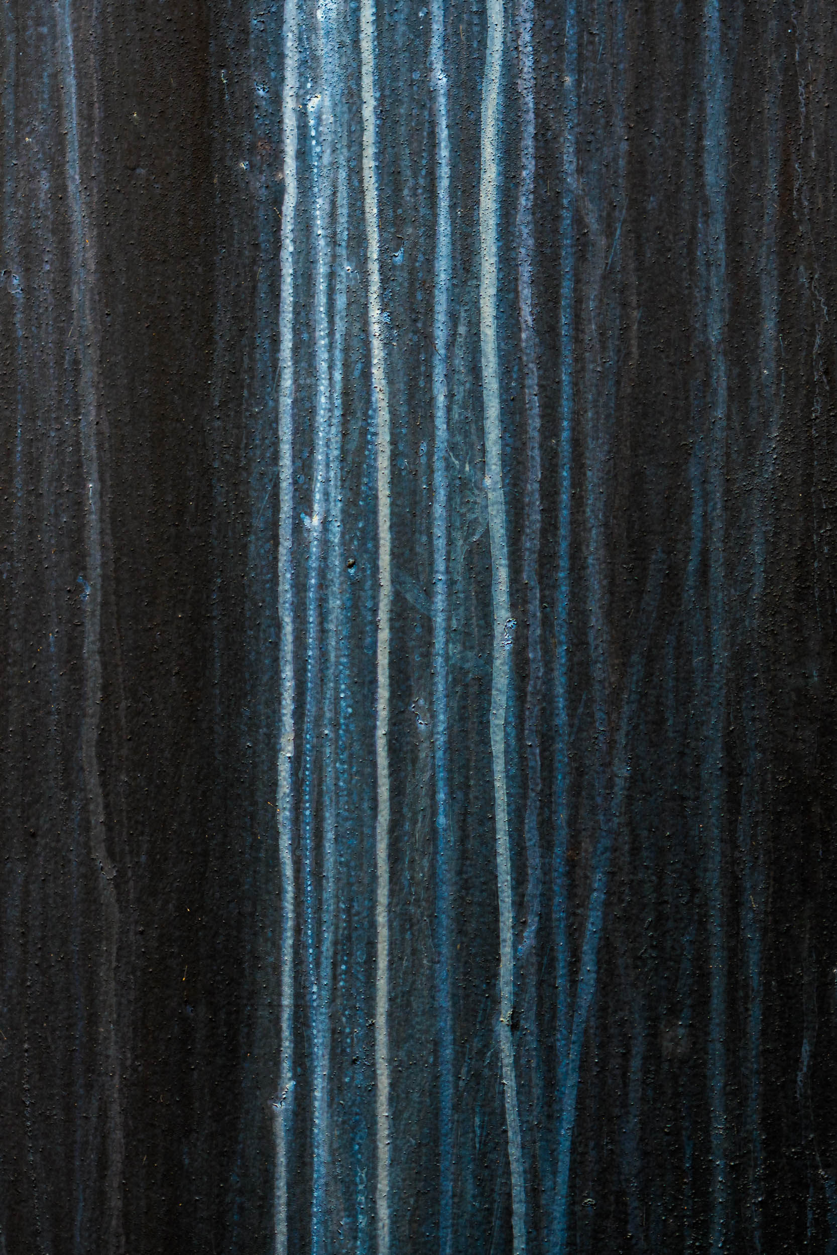 Blue Aspens