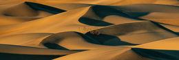 Rolling sand dunes with soft curves and dark shadows under warm sunlight