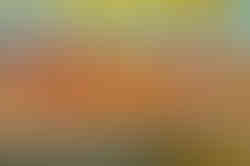 Horizontal bands of soft orange, blue, and neutral tones resembling a hazy morning sky