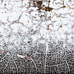Abstract cracked white and black surface resembling frost or winter terrain patterns