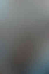 Abstract reflection of tree branches and floating leaves in water