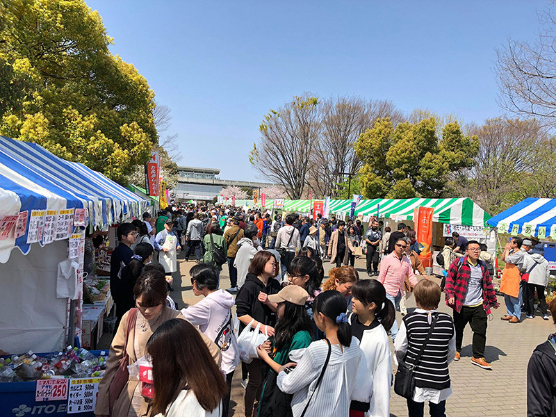 舎人公園千本桜まつり