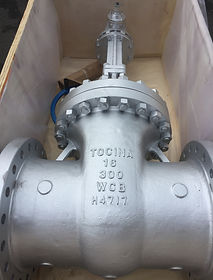 400mm CL300 Gate WCB.jpg