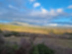 20230109_163358.jpg