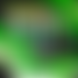 GDDA 79 - 30 APD Paredes