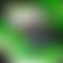 GDDA 61 - 51 FC Porto