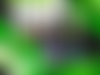 GDDA 61 - 51 FC Porto