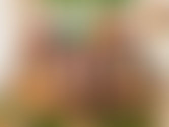 Mensagem de Natal do GDDA