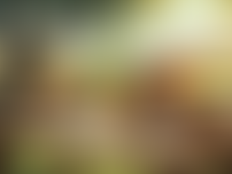 Preparing to Learn Italian Before Moving to Italy