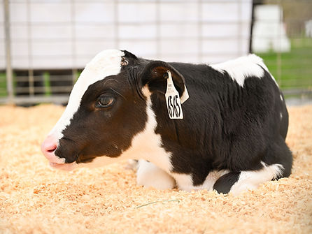 Milk Monday