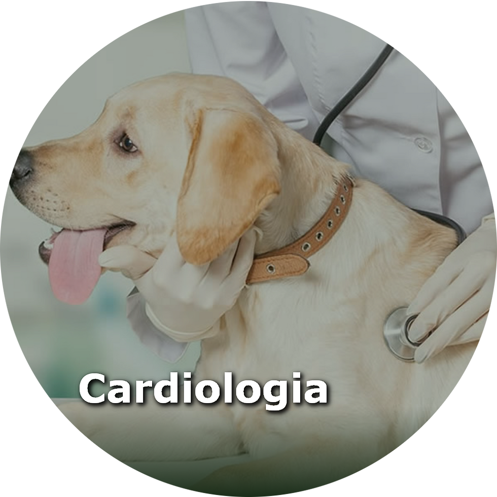 Cardiologia