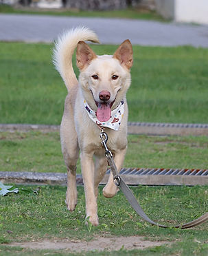 16-12-17-1653.undefined