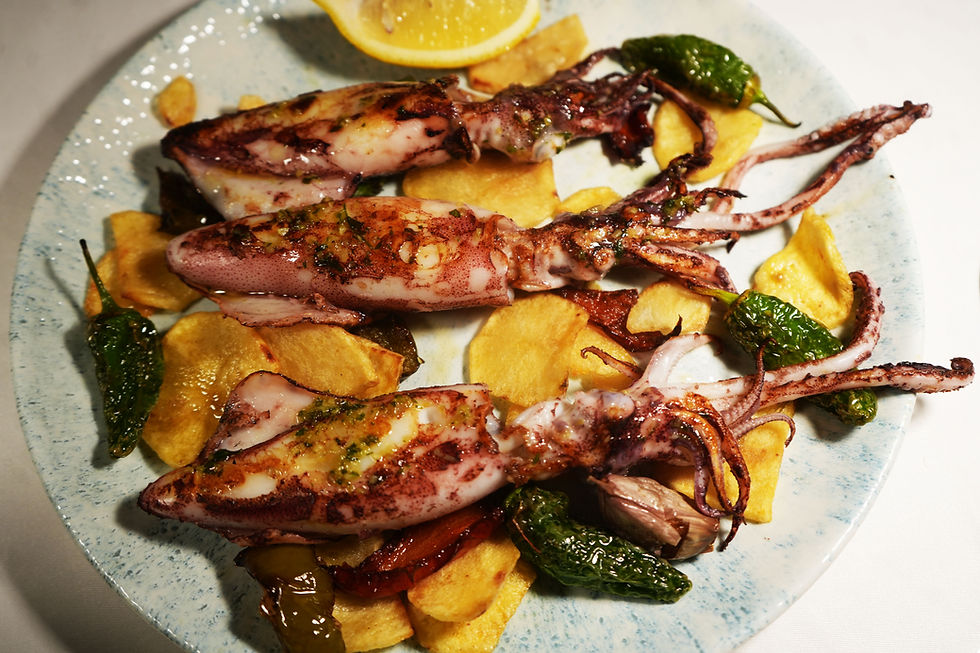 Squid - © LifeBytes Magazine
