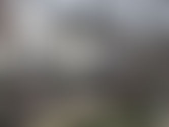 Reisverslag: Utrecht