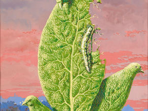 Vooruitbeschouwing & verslag: De belangrijkste expo's van najaar 2025-voorjaar 2026