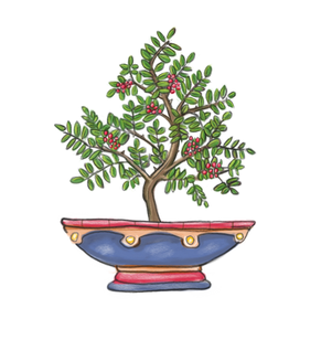 tibetische gewürzschalen