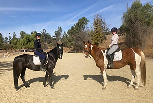 86f033e8-ba2e-4760-a6e1-ff5f26a70b95_edi