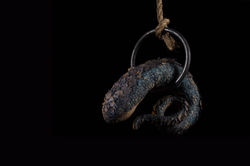 Snake copy