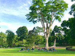 Botanic Gardens 2
