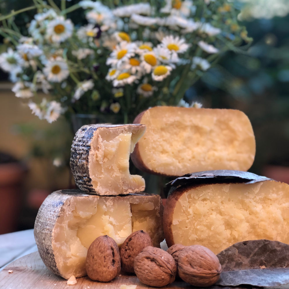 Pecorino del Noce