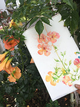 4. Chinese trumpet vine, 2020, Nagano 230 x 331.JPG