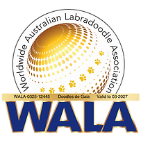 Doodles de Gaia Badge.png