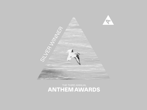 The Xylom Announced as a Silver Winner for News & Journalism, Sustainability, Environment, & Climate for The 3rd Annual Anthem Awards