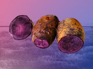 Perspective: I Yearn for My Roots