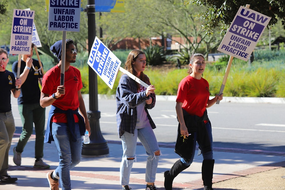 Perspective: Lessons Learned from an Astronomy Graduate Student on Strike