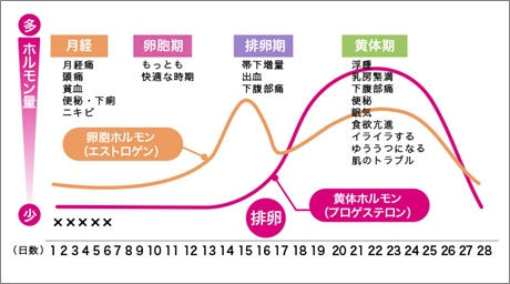 女性ホルモンの変動とPMS PMDDの関係 ホルモンバランスのイメージ図