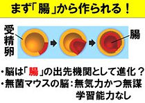 米科学アカデミー紀要 2011より
