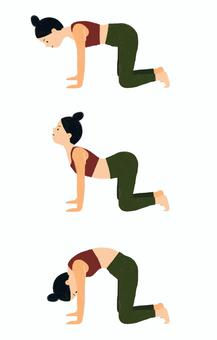 キャットアンドカウのポーズ　cat＆cow