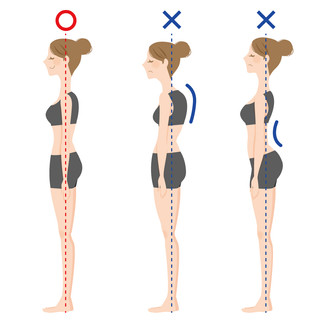 良い姿勢　ミトコンドリア活性化