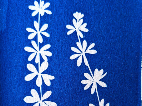 Différentes formules de cyanotype, un même résultat