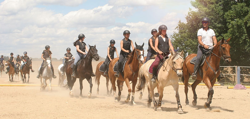 Centre Equestre Centaure - Chevaux et Poneys pour enfants à Roussy-le-Village, proche du Luxembourg