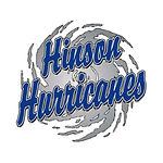 800x800-website-logos-Hinson.jpg