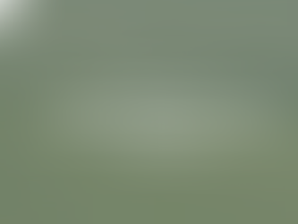 Thinking About Applying for a Frog’s Breath Foundation Grant? Here’s What You Should Know