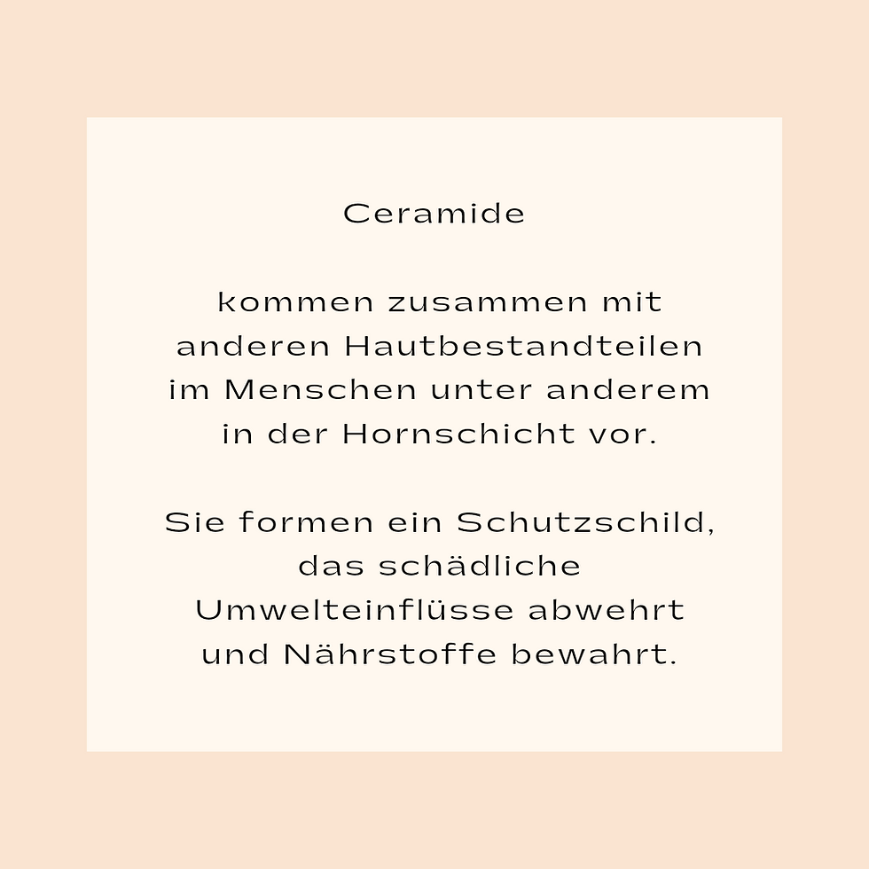 20201130_172800_0000