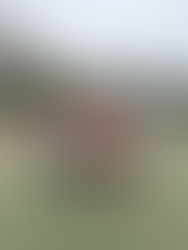 県大会個人戦