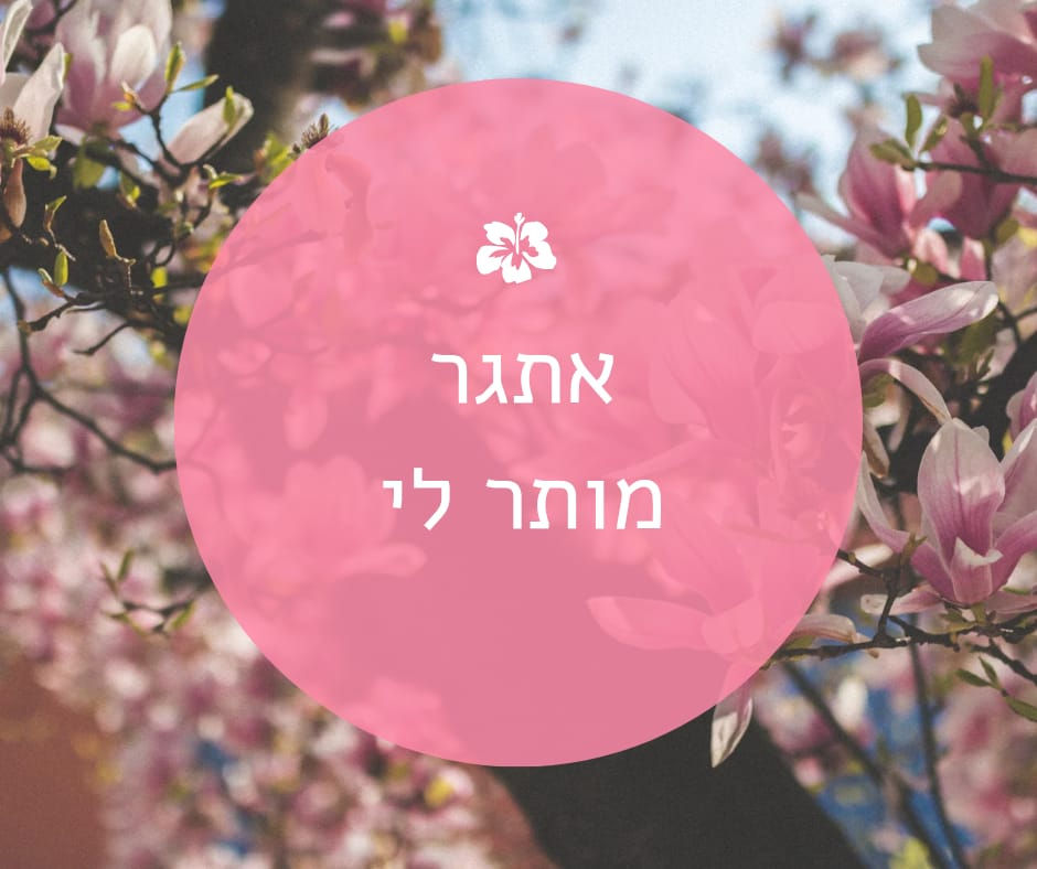 אתגר מותר לי פברואר 24