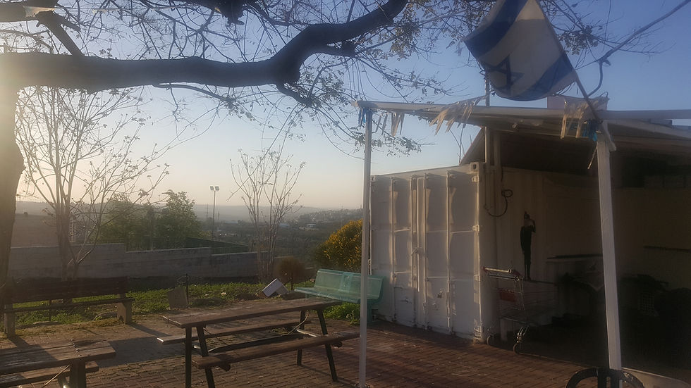 Ofer Waldman - We Love Israel