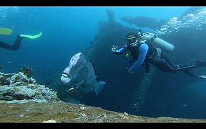 kursus diving