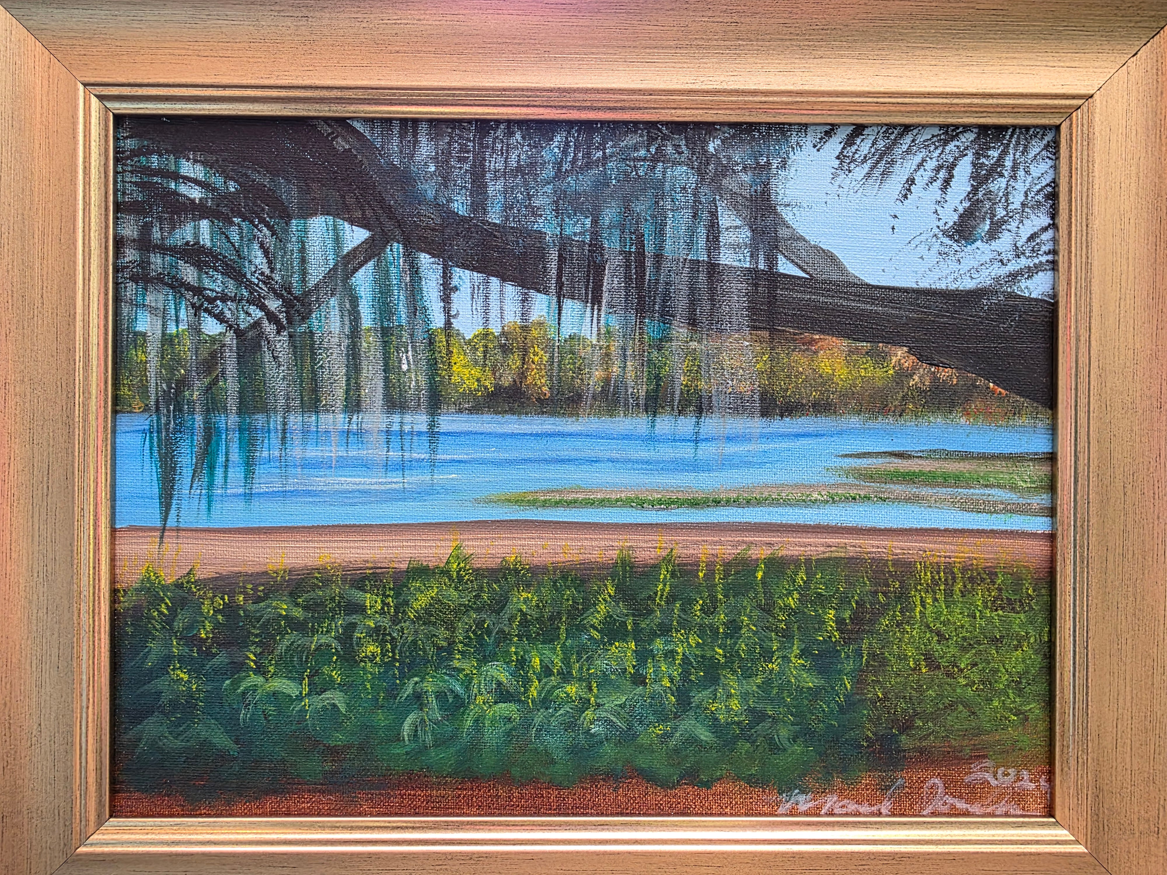Curtains of Nature