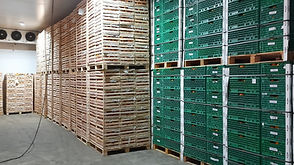 WhatsApp Image 2023-03-01 at 18_edited.jpg