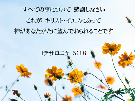 小さなことから感謝を
